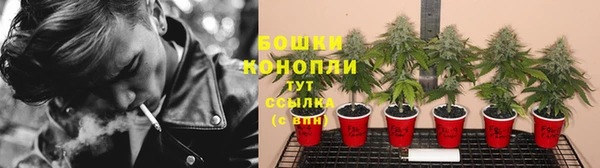 не бодяженный Алзамай