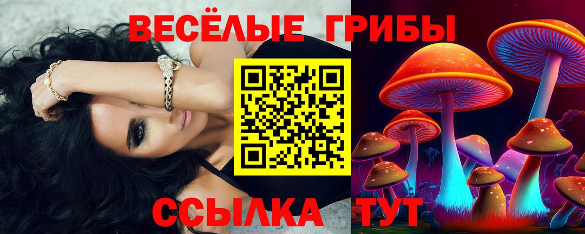 Углич  Псилоцибиновые грибы MAGIC MUSHROOMS  Вход с VPN  Галлюциногенные грибы Magic Shrooms 
