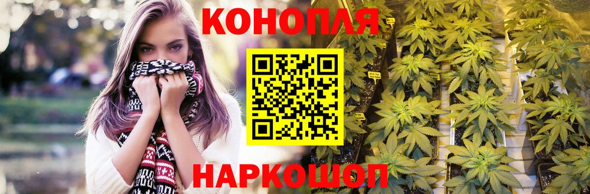 Каннабис конопля Углич